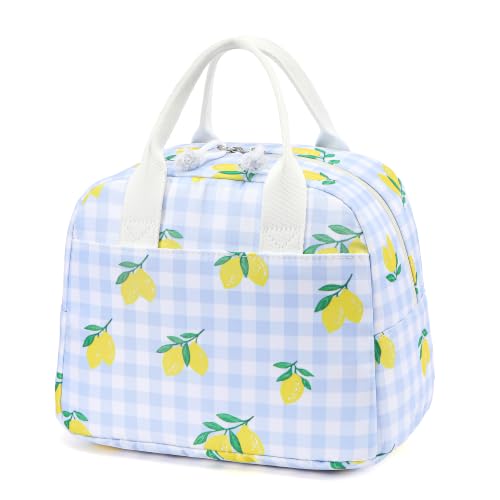 Image of LOVELYWIND Lunch Box for Women Cute Lunch Bags for Women Lunch Tote Bags Reusable Insulated Lunch Box Large Capacity Reusable Insulated Cooler for Work or Travel Gifts or Beach
