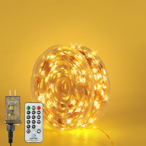 SenLuKit Copper Wire Fairy Lights Waterproof Plug in Christmas String Lights with Remote for Living Bed Room Backyard Patio Garden Porch Wedding or Christmas Decorations