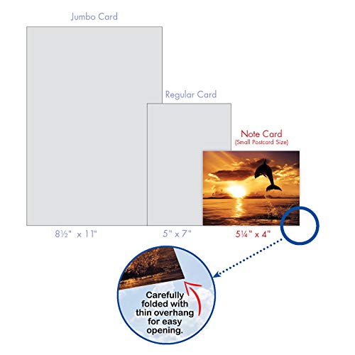 The Best Card Company - 10 Blank Animal Cards Boxed (4 X 5.12 Inch) - Assorted Pets, Zoo, Wildlife Cards For Kids - Sunset Dolphins M6460Ocb #TOP6