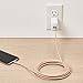 Amazon Basics 10 foot Nylon USB-C to USB-A 2.0 Fast Charging Cable, Gold