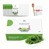 Kadosachi Dehydrated Sea Grapes, 8.47 oz 1 box (Pack of 12) - Green Caviar, Sea Grapes To Eat, Umibu
