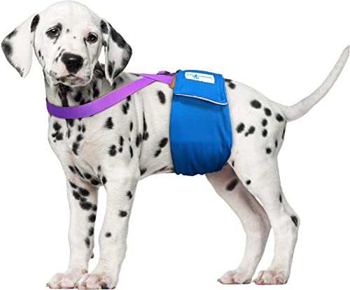 Image of PAW Inspired Dog Diaper Suspenders, Purple, X-Small /Small | Stretchy Adjustable Straps, Velcro Closures, For Female and Male Disposable and Washable Diapers