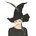 Produktbild Harry Potter Hut von Professor McGonagall mit Federn