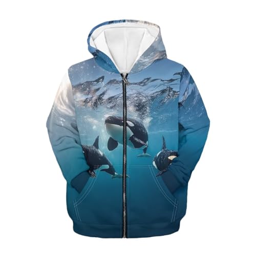 WXYUN Killer Whale Kids Athletic Hoodie Fashion Hooded Sweatshirt Size 14-16 Youth Zip Up Hoodies Jacket for Teen Boys with Pocket Teens Long Sleeve Fall Outfits Clothes Classic Coat Top