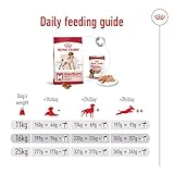 Royal Canin Medium Adult 25 - 7