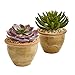 Nearly Natural Large Succulent Artificial Ceramic Vase (Set of 2) Silk Plants Purple/Green