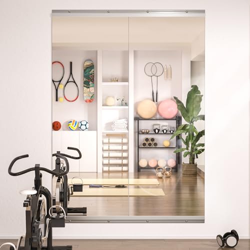 Hasipu 55 x 21 Full Body Wall Mirrors (2-Pack)