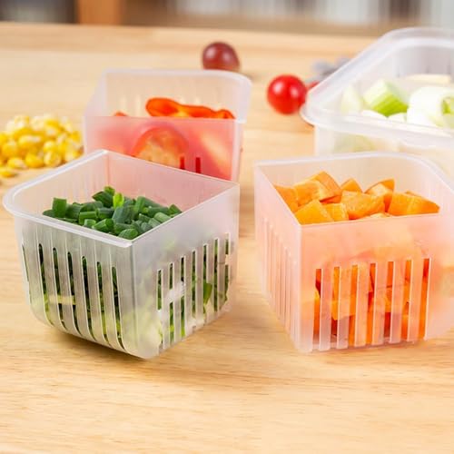 Image of Shuttle Art 9 compartment Ginger And Garlic Storage Box Refrigerator Multi-compartment Double-packed Frozens Draining Water Preparation Box Fruit Garlic Minced Fresh-keeping Box