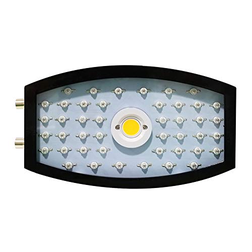 1100W LED Grow Light LED Pflanzenlampe Full Spectrum Wachsen Für Zimmerpflanzen Gemüse Und Blumen