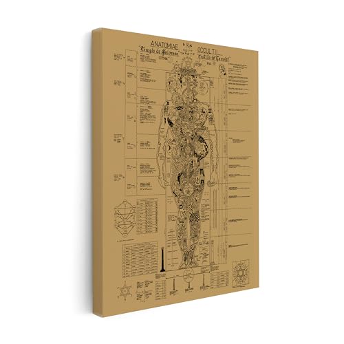 Image of Poster Master Occult Anatomy Canvas - Retro Human Body Print - Occult Art - Halloween Art - Gift for Men & Women - Gothic Wall Decor for Living Room, Bedroom or Dorm - Available in 8x10 to 30x40