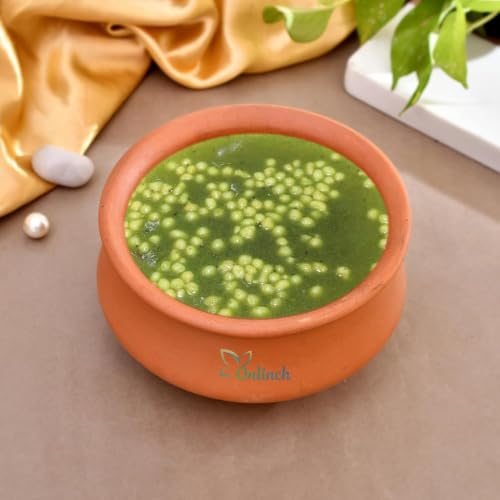 Image of Handmade Clay Curd Pot with Lid | Earthen Yogurt Setting Handi | Mitti Ki Dahi Jamane Ki Handi | Natural & Traditional (2000 Gram)