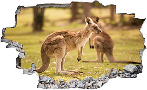 Premium Wandtattoo Australien-Karte – 70x62 Cm, Farbe Weiß, Selbstklebende Vinylfolie Für Rauhfaser & Gestrichene Wände, Leicht Entfernbar
