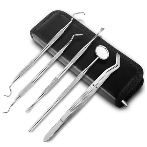 Image of Professional Oral Care Kit Advanced Clean- Portable Dental Tools,Stainless Steel Dental Hygiene Kit with Dental Picks for Men Women Kids and Pet Care(5pack)- with Case