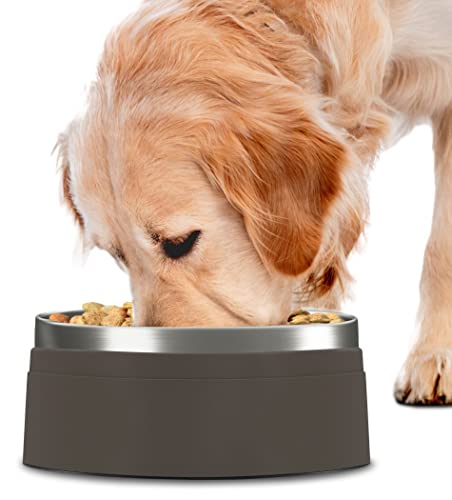 Dog Food Water Bowl - Stainless Steel Pet Feeding & Watering Bowl for Small, Medium, & Large Sized Dogs - Durable, Non Slip, 3 Cup Capacity (Sable Brown)