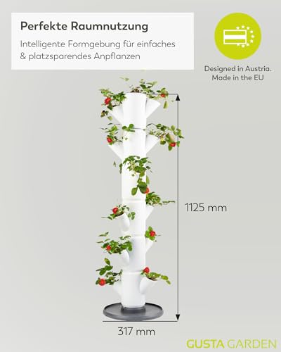 GUSTA GARDEN Sissi Strawberry Erdbeerbaum Classic Anthrazit - Hochbeet System Erdbeeren mit Wandhalterung - Garten & Balkon - 113 cm - 15L Erdvolumen
