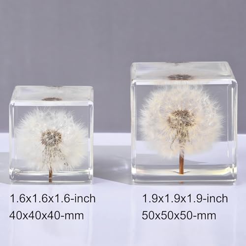 Image of Dandelion Taxidermy, Real Plant Flower Specimen in Resin Preserved, Clear for Closer-Look & Study, Science Educational Classroom Specimens, Novelty Crafts Decor Ornament, Amazing Gift (M and L Cubes)