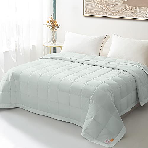 Creative Product WarmKiss Summer Comforter Queen, 100% Cotton Shell, 750 Fill Power 15OZ Soft Breathable Duvet Insert, Machine Washable, Green