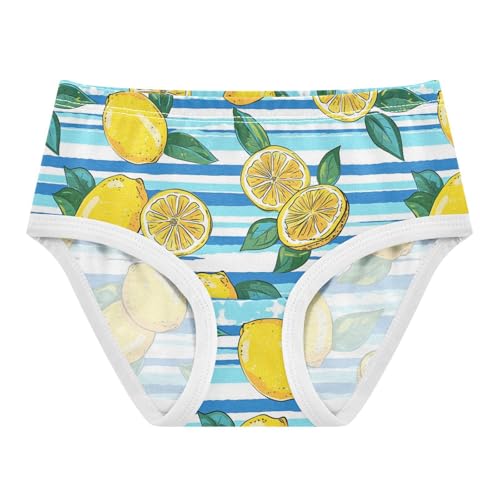 Wusikd Lemons Lemon Slices Girls' Underwear Cotton Blue Stripe Girls Briefs Soft Toddler Underwear 2T