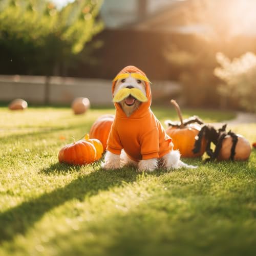Huhumy Disfraz de Halloween para Perro Mediano Naranja M miniatura 3