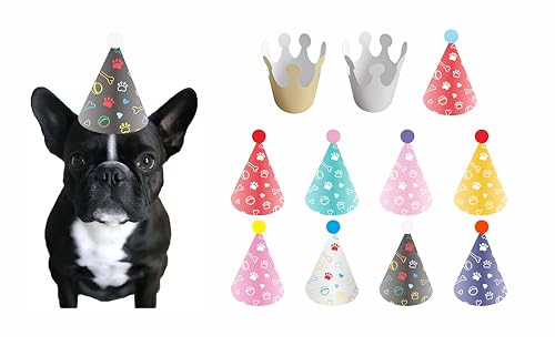 Dog Party Hat Set