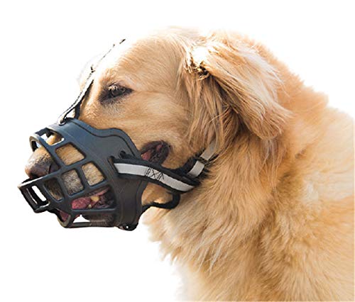 p}XN ̃}Y  p}Y Z[teB}XN ʖi ih Yrߖh~ EHh~ ݏ ݂ ߉\ ʋCbV 咆^ Oo֗ObY (S)