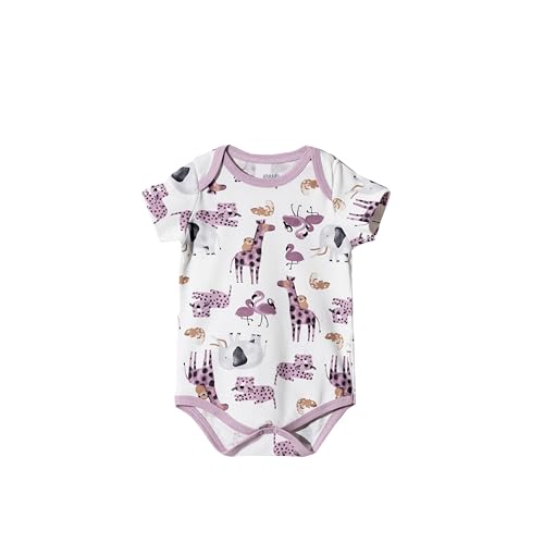 Toddler and Baby Unisex Bodysuit 2 Pack Set Short Sleeve Bodysuit Baby for 0-24 Months Babies Baby Girl Boy3