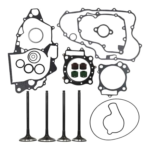 Repuestos de juntas para cilindro de moto CRF450X y kit de sellos