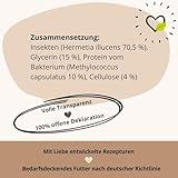 BugBell Hypoallergener Snack für Hunde 60g, Nur Vier Komponenten, Sensitive, Magenschonend, Schonkost für Hunde, für Allergikerhunde, Insekten Snacks bei Ausschlussdiäten