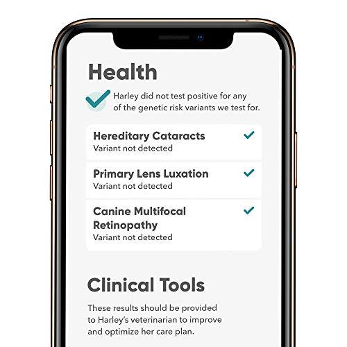 Image of Embark Breed & Health Dog DNA Test (2 Pack) - 400+ Breeds, 270+ Health Conditions, Allergy Risk Score, Relatives, and More