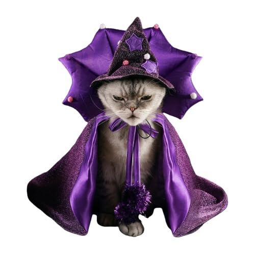 Vilom ynEBybgRX`[z@gZbg F}gƖXq ƔLp yʐ݌v SNSf LOʐ^ p[eB[ߑ ㊂ŃTCY\ ăN[ȉŎvo ^ƐLt[TCY