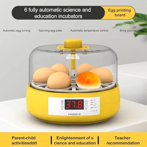Incubateur automatique d'oeufs avec contrôle de l'humidité, affichage de la température, bougie intégrée, tournage manuel pour poulet, canard, caille, design compact 18 W