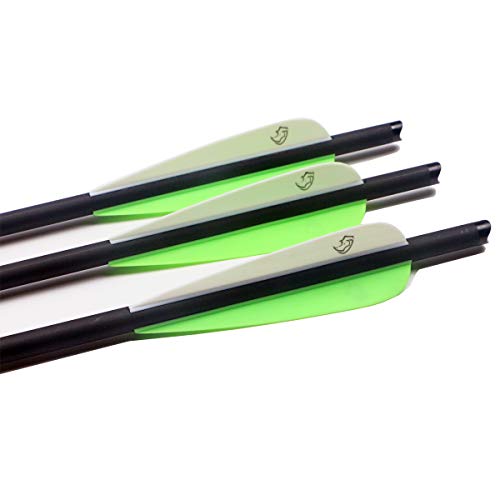 Pointdo 20Inch Carbon Crossbow Bolts Crossbow Hunting Arrows With 4" Vanes And Replaced Arrowhead/Tip (12 Pack) (Green White) #TOP2