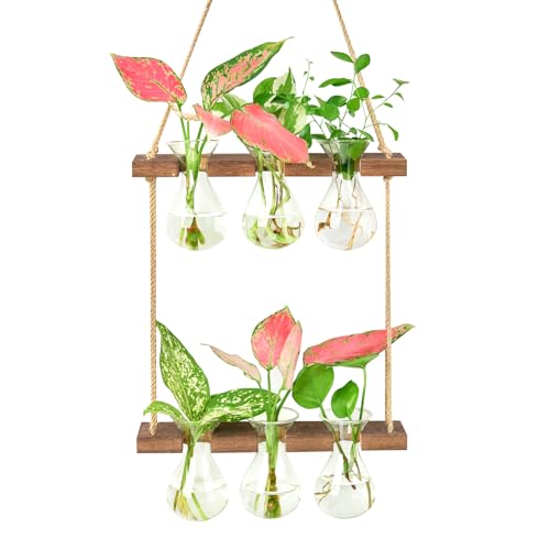 XXXFLOWER Estación de propagación para colgar en la pared con soporte de madera, jarrón de 3 bombillas, macetas de 2 niveles, terrario de pared para el hogar, oficina, colgador de plantas, jarrones de