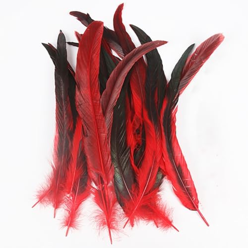Natural Red Rooster Tail Feathers 55pcs 8-10inch 20-25cm Bulk Long Rooster Feathers for DIY Crafts Costume and Halloween Party Performances Decoration (Red 8-10in)