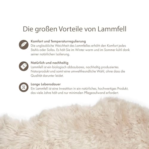 Nordic Sheep Lammfell Langhaarig 90x60 cm | Lammfell Echt für das Sofa, den Stuhl oder rund um den Esstisch | Jedes Lammfell Teppich ist EIN Unikat und von der Natur geschaffen | Farbe: Beige
