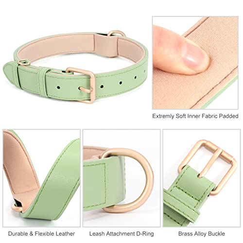 JASGOOD Leather Dog Collar for Small Medium Large Dog Adjustable Soft Leather Padded Puppy Collar with Alloy Buckle Heavy Duty Waterproof Dog Pet Collar,Green - Image 4