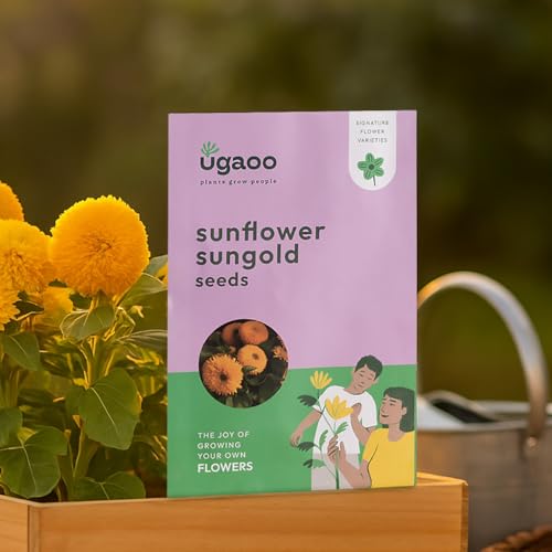 Image of UGAOO Sunflower Sungold Flower Seeds (Yellow, Pack of 75)