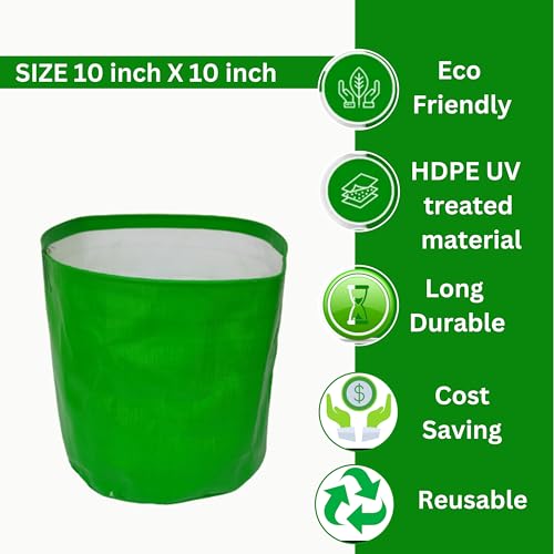 Herb Gardening Kit Grow Your Own Flower 3 in 1 (Italian Basil, Oregano and Dill Plant) Best for Gifting Purpose