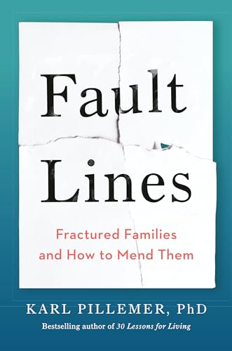 Fault Lines view 2