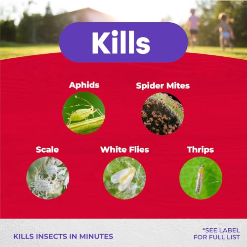 Bonide Insecticidal Soap, 32 oz Ready-to-Use Spray Multi-Purpose Insect Control for Organic Gardening Indoor and Outdoor - image 3