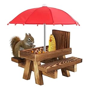 Eekhoorn picknicktafel, handgemaakte eekhoorn picknicktafel, eenvoudig te installeren grenen eekhoorn Bench Feeder met pinda lade, voor tuin, buiten, binnenplaats