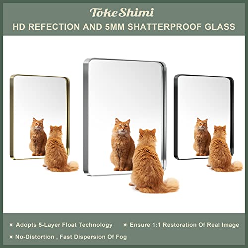 Tokeshimi 40 X 30 Inch Brushed Silver Bathroom Mirror For Wall Brushed Brass Metal Rounded Corner Rectangle Mirror Metal Frame Deep Set Design Hangs Horizontal Or Vertical #TOP5