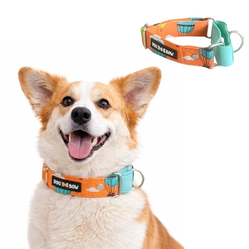 Image of Dog-O-Bow Hot Air Balloon Print Martingale Dog Collar, Durable, Comfortable & Adjustable Training Collar (Medium)