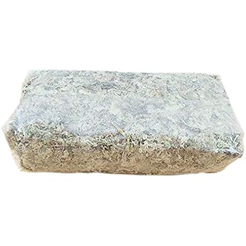 Musgo Sphagnum para terrarios y orquídeas Cover