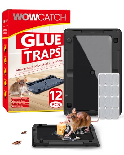 Wowcatch Sticky Mouse Traps Indoor for Home - 12 Pack Glue Traps for Roaches, Spider, Lizard, Rodent Catcher for Kitchen, Garage, Glue Boards for Insects, Pet Safe Pest Control, Non-Toxic, Small Size
