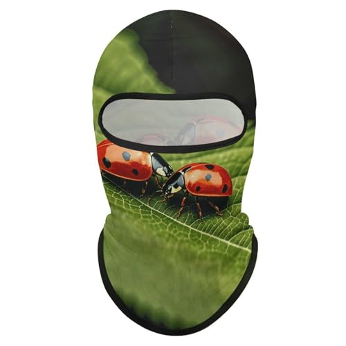 Balaclava para hombres, máscara para esquiar y cazar, cubreboca para ciclismo y actividades invernales