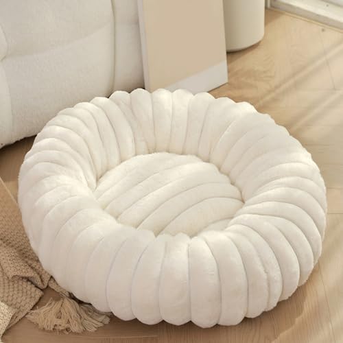 [ADSNS] Lpی^xbh p}bg ybgxbh ~` ~ߕt @\ J[3 g }bg 􂦂 60 ^pNbV ΍ _炩  xbh L xbh ybgxbh ӂӂ ی^ ۉh