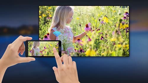 تلفزيون LED اي كاست HD عالي الدقة A+ مع ريسيفر مدمج من ساينيكس (أسود، 32 بوصة)