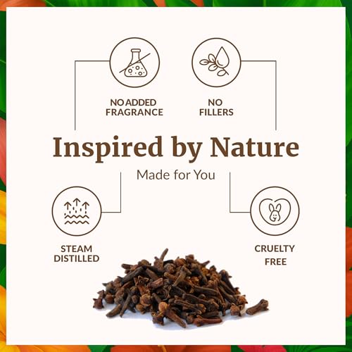 Image of SVA Clove Essential Oil Organic- 16 Fl Oz - 100% Natural Clove Oil - for Diffuser, Hair Care, Face, Skin Care, Aromatherapy, Scalp and Body Massage, Soap and Candle Making