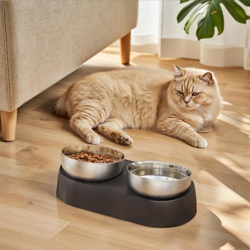 Edelstahl Katzennapf erhöht & Hundenapf - Verstellbarer Futternapf 0-15° Neigung, Großes Fressnapf Set für Katzen und Kleine Hunde, Anti-Rutsch,...